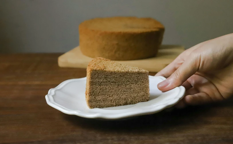 a person holding a piece of cake on a plate, thick lining, sandstone, high quality product, fan favorite