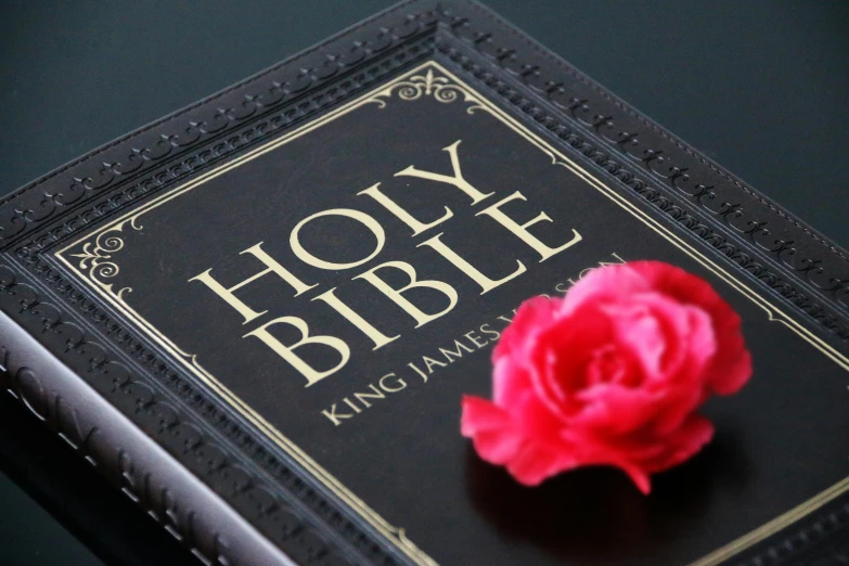 a book with a rose on top of it, holy themed, kneeling, carnation, royal commission