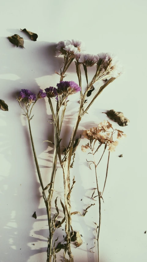 a bunch of flowers sitting on top of a table, by Carey Morris, trending on unsplash, aestheticism, dried herbs, made of bees, low quality photo, grainy film photo