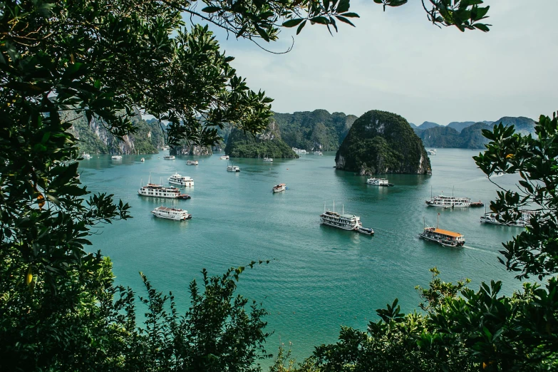 a group of boats floating on top of a body of water, pexels contest winner, vietnam, fan favorite, carson ellis, islands