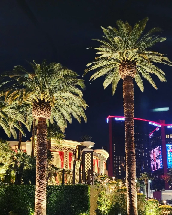 a couple of palm trees sitting on top of a lush green field, in a las vegas street, beautifully lit buildings, promo image, cosmopolitan