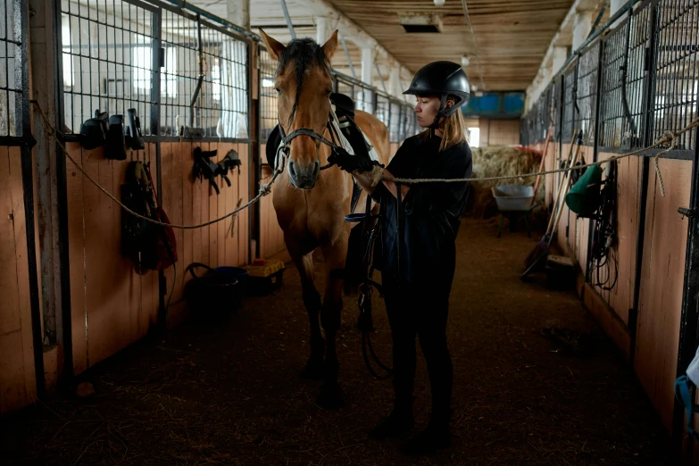 a woman standing next to a horse in a stable, by Meredith Dillman, pexels contest winner, lachlan bailey, inspect in inventory image, brown, rectangle