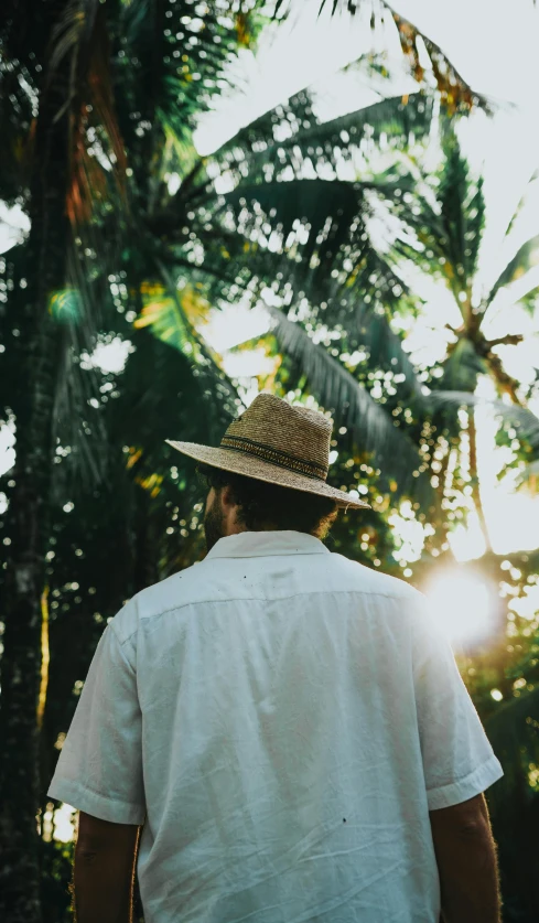 a man in a hat walks through the jungle, an album cover, by Jessie Algie, pexels contest winner, back light, tropics, looking straight, high quality image