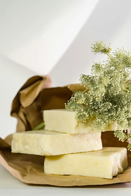 a bunch of cheese sitting on top of a brown paper bag, with soft bushes, soap, softly backlit, elegant intricate