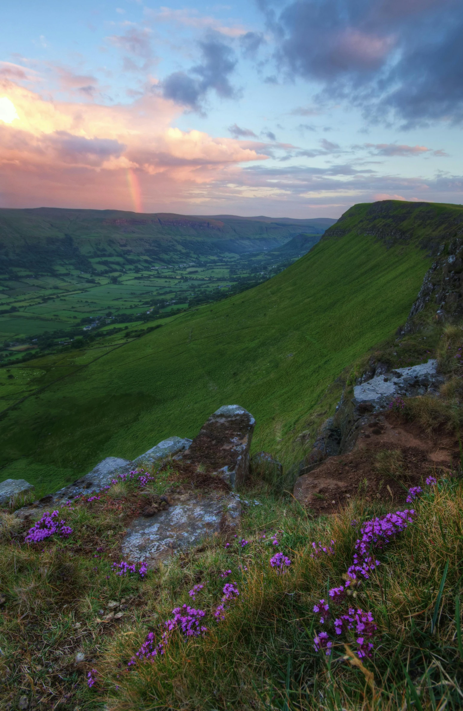 a grassy hill with purple flowers in the foreground, by Bedwyr Williams, moonbow, black mountains, valley, 8 k -