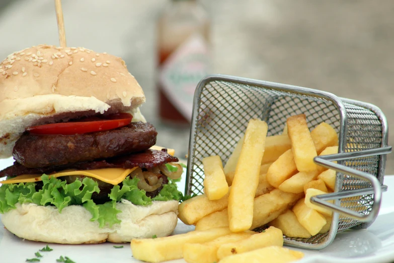 a hamburger and french fries on a plate, by Joe Bowler, pexels, 🦩🪐🐞👩🏻🦳, crisp detail, 8 0 mm photo, ad image