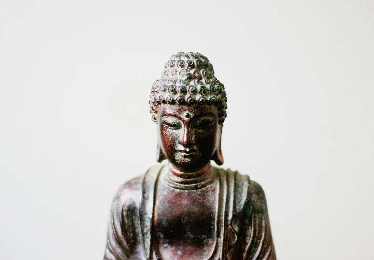 a close up of a statue of a person, a statue, trending on unsplash, cloisonnism, on a white table, karma sutra, brown, grey metal body