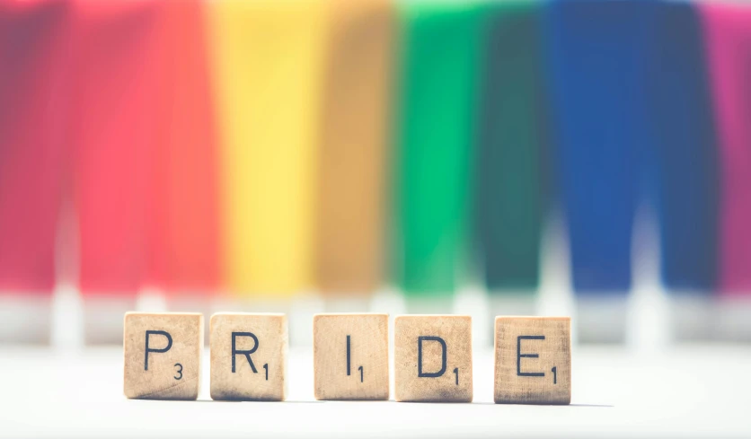 a wooden block with the word pride written on it, by Okuda Gensō, trending on unsplash, verdadism, 🚿🗝📝, cubes on table, lgbt flag, miranda meeks