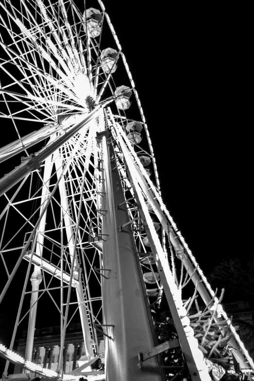 a black and white photo of a ferris wheel, by Dave Melvin, nighttime!!, worm's eye view, taken in zoo, swings