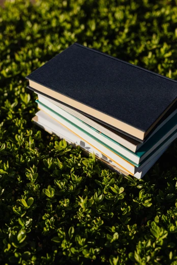 a stack of books sitting on top of a lush green field, birdseye view, navy, sustainable materials, avatar image