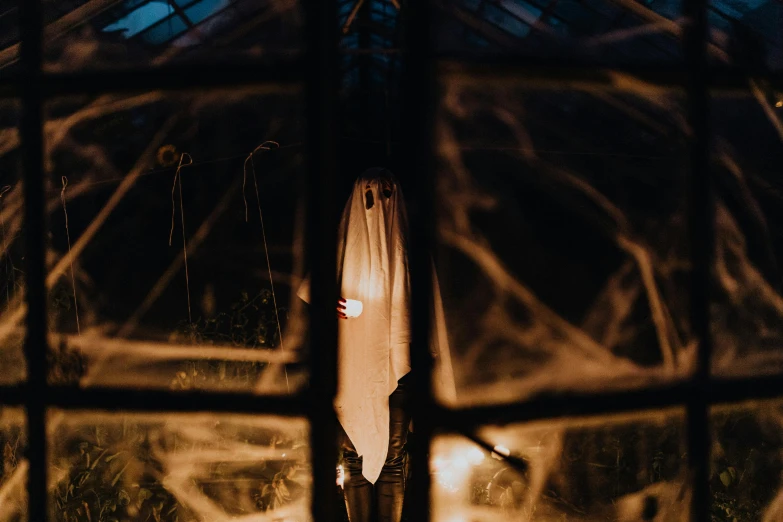 a person standing in front of a window holding a surfboard, inspired by Elsa Bleda, pexels contest winner, surrealism, halloween ghost under a sheet, inside a dome, greenhouse, halloween decorations