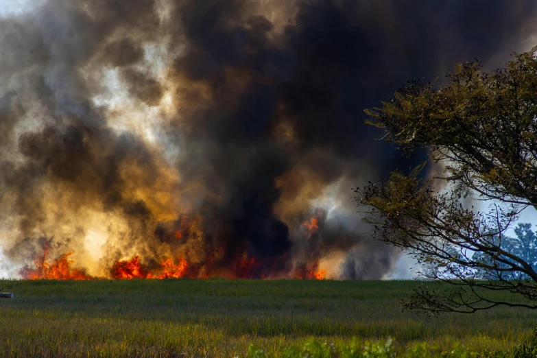 a fire that is in the middle of a field, pexels contest winner, hurufiyya, in louisiana, profile image, numerous fires, sri lanka