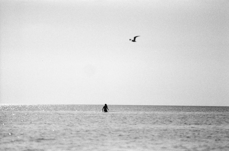 a black and white photo of a person in the ocean, by Jan Rustem, 3 5 mm film photograph, birds in the distance, lost series, shark