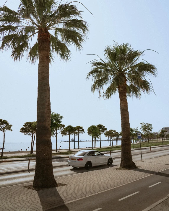 a white car driving down a street next to palm trees, pexels contest winner, hyperrealism, barcelona, view of sea, low quality photo, thumbnail