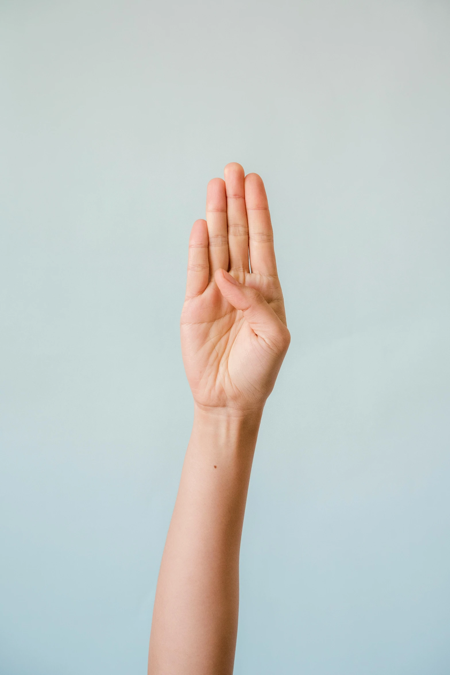 a person holding their hand up in the air, unsplash, hyperrealism, thin antennae, plain background, cysts, large tall