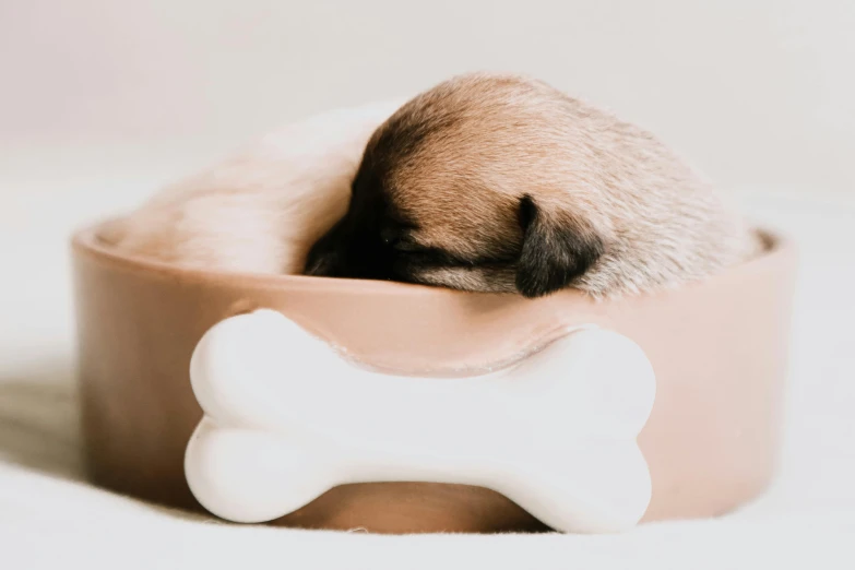 a puppy sleeping in a bowl with a bone in it, by Emma Andijewska, trending on pexels, animation, manuka, curved, studio photo