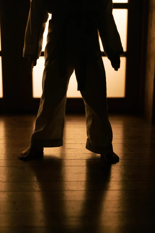 a silhouette of a person standing in front of a door, inspired by Kanō Shōsenin, unsplash, martial arts, filtered evening light, standing on two legs, brown