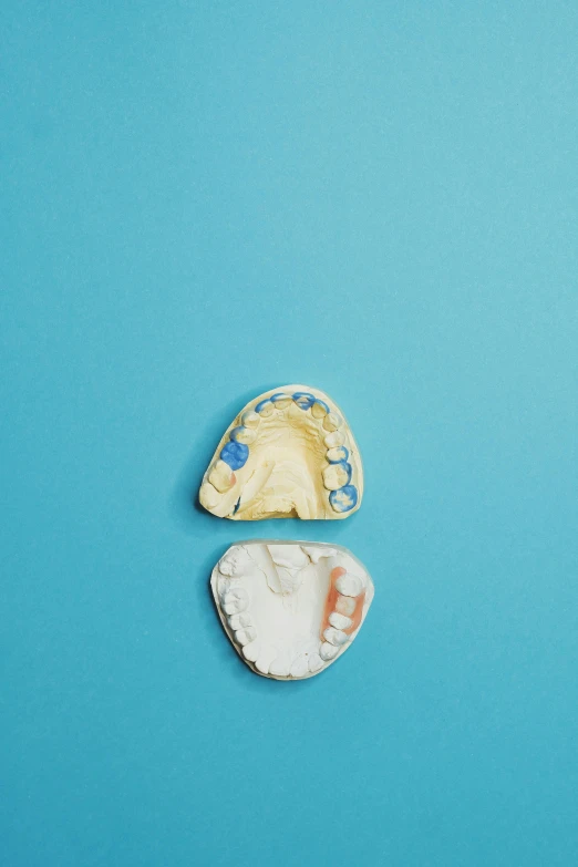 two seashells on a blue background, by Alison Geissler, instagram, serial art, yellow uneven teeth, medical photography, enamel, plates