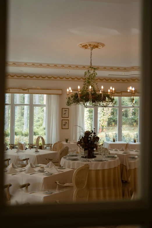 a view of a dining room through a window, delightful surroundings, ballroom, cosy, in serene forest setting