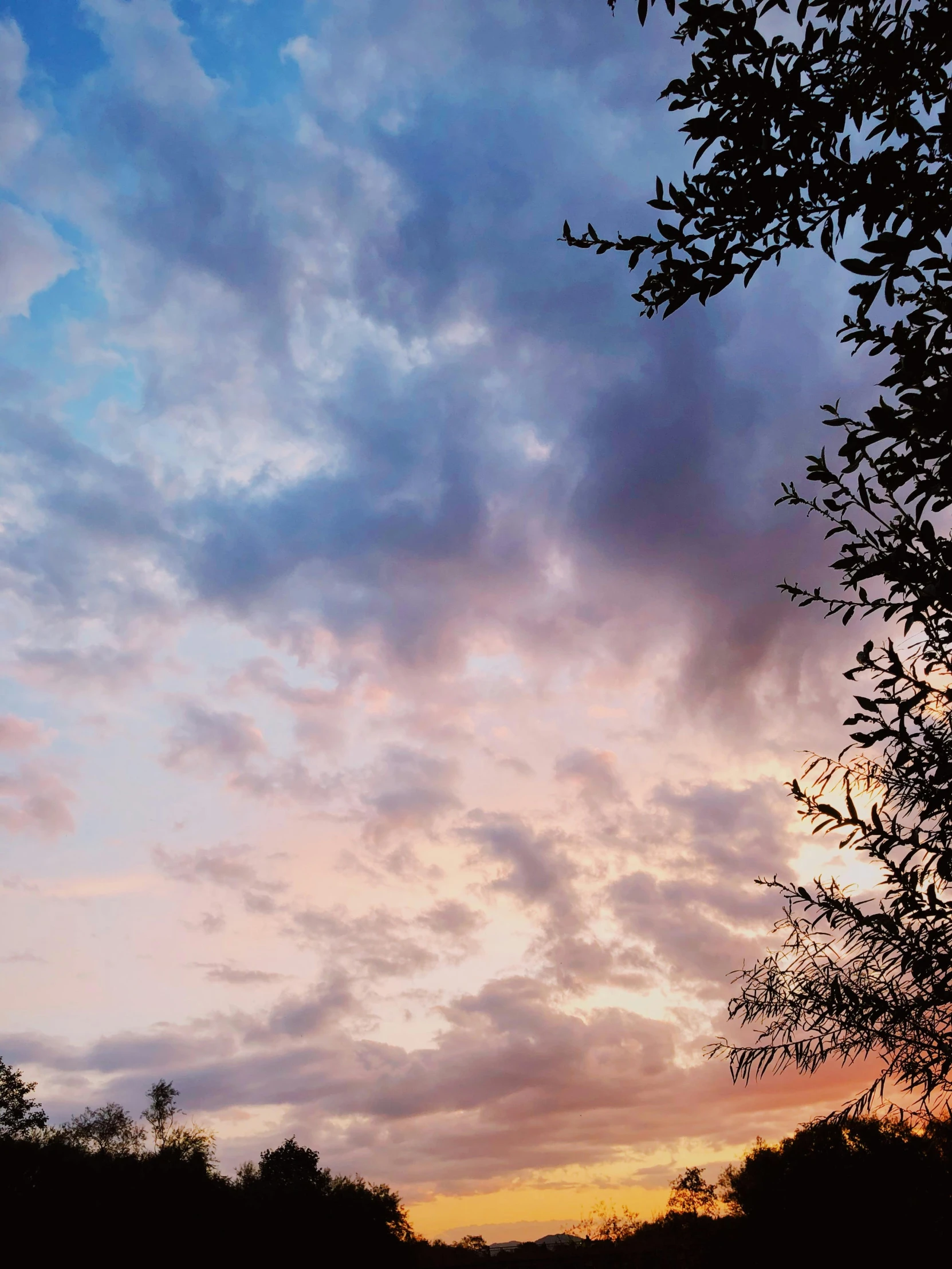 a sunset over a body of water with trees in the foreground, a picture, unsplash contest winner, romanticism, pink and grey clouds, profile image, low angle photo, taken on iphone 1 3 pro