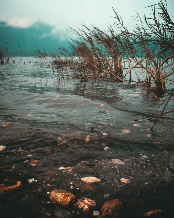 a body of water surrounded by grass and rocks, inspired by Elsa Bleda, unsplash contest winner, romanticism, flooding, stormy day, 2019 trending photo, underwater photo