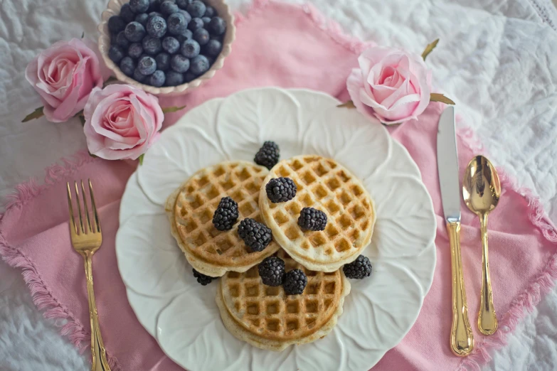 a white plate topped with waffles and berries, a portrait, by Lorraine Fox, pexels, renaissance, floral, background image, vintage photo, with soft pink colors