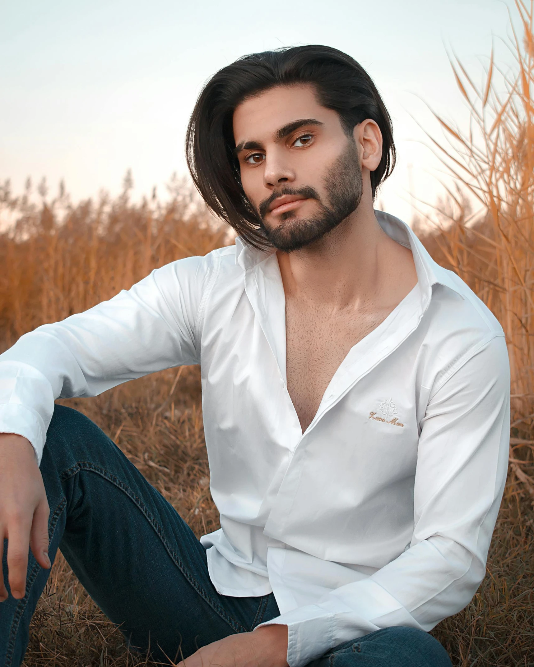 a man sitting in a field of tall grass, an album cover, by Adam Dario Keel, trending on pexels, renaissance, wearing white v - neck top, middle eastern skin, attractive androgynous humanoid, embroidered shirt