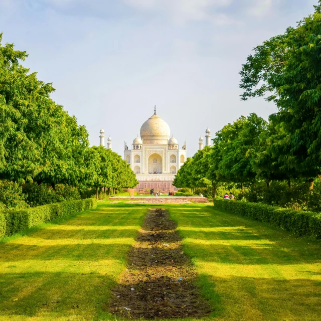 a view of the taj mahal in india, by Julia Pishtar, lush garden surroundings, lawn, a landscape of hedge maze, exclusive