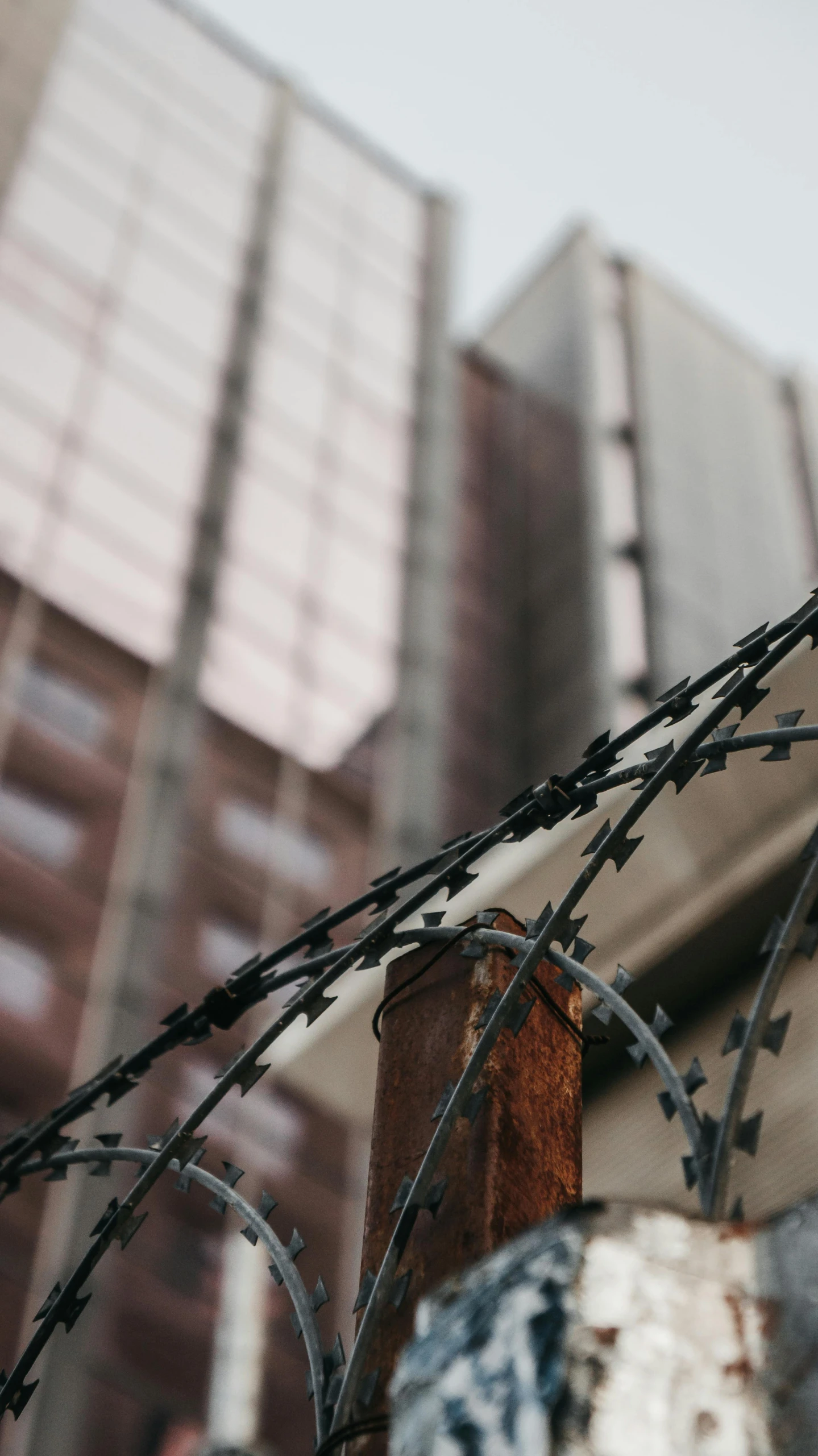 a close up of a fence with a building in the background, inspired by Elsa Bleda, pexels, graffiti, brutalist office buildings, thorns everywhere, police state, poor buildings