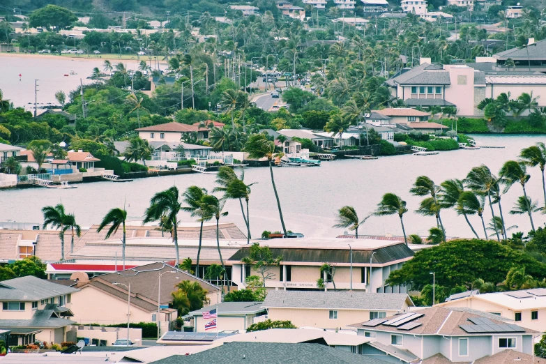 a large body of water surrounded by palm trees, by Carey Morris, pexels contest winner, hurufiyya, waterfront houses, waring a hawaiian shirt, hurricane, seen from far away