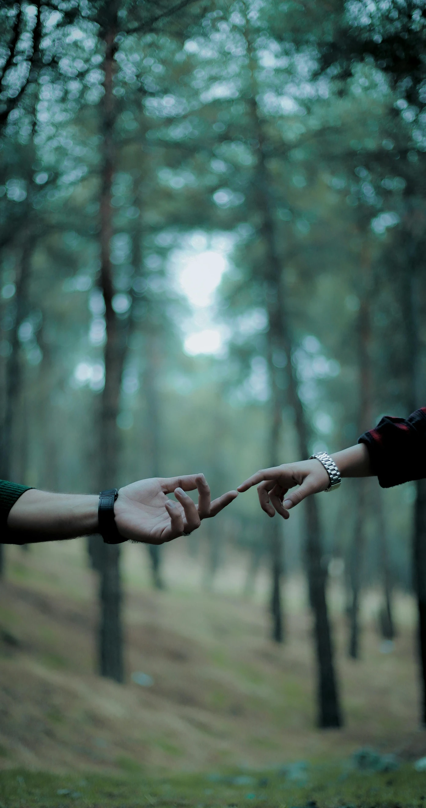 two people touching hands in the middle of a forest, trending on pexels, lgbt, pointing, low iso, low