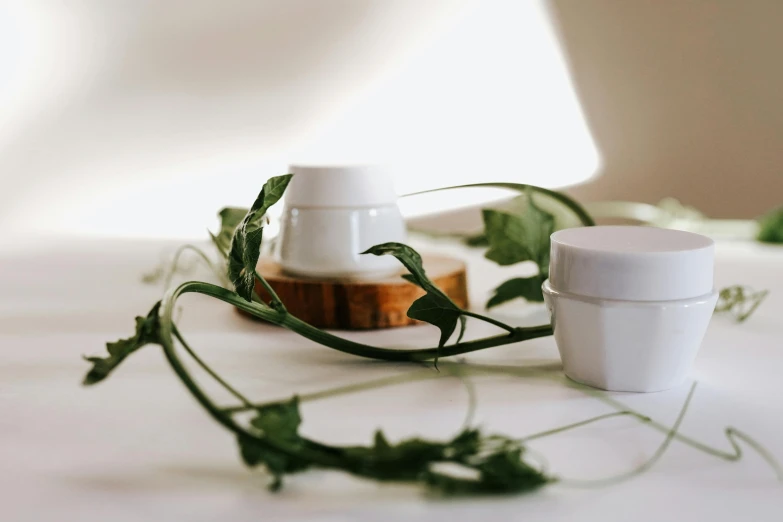 a couple of cups sitting on top of a table, a still life, trending on pexels, skin care, ivy vines, white, jars