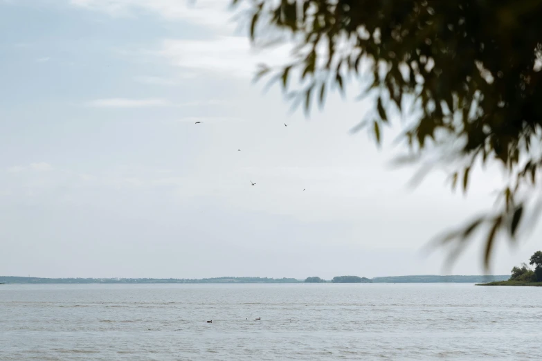 a boat floating on top of a large body of water, a picture, by Jan Tengnagel, unsplash, visual art, birds flying in the distance, as seen from the canopy, in a beachfront environment, three birds flying around it