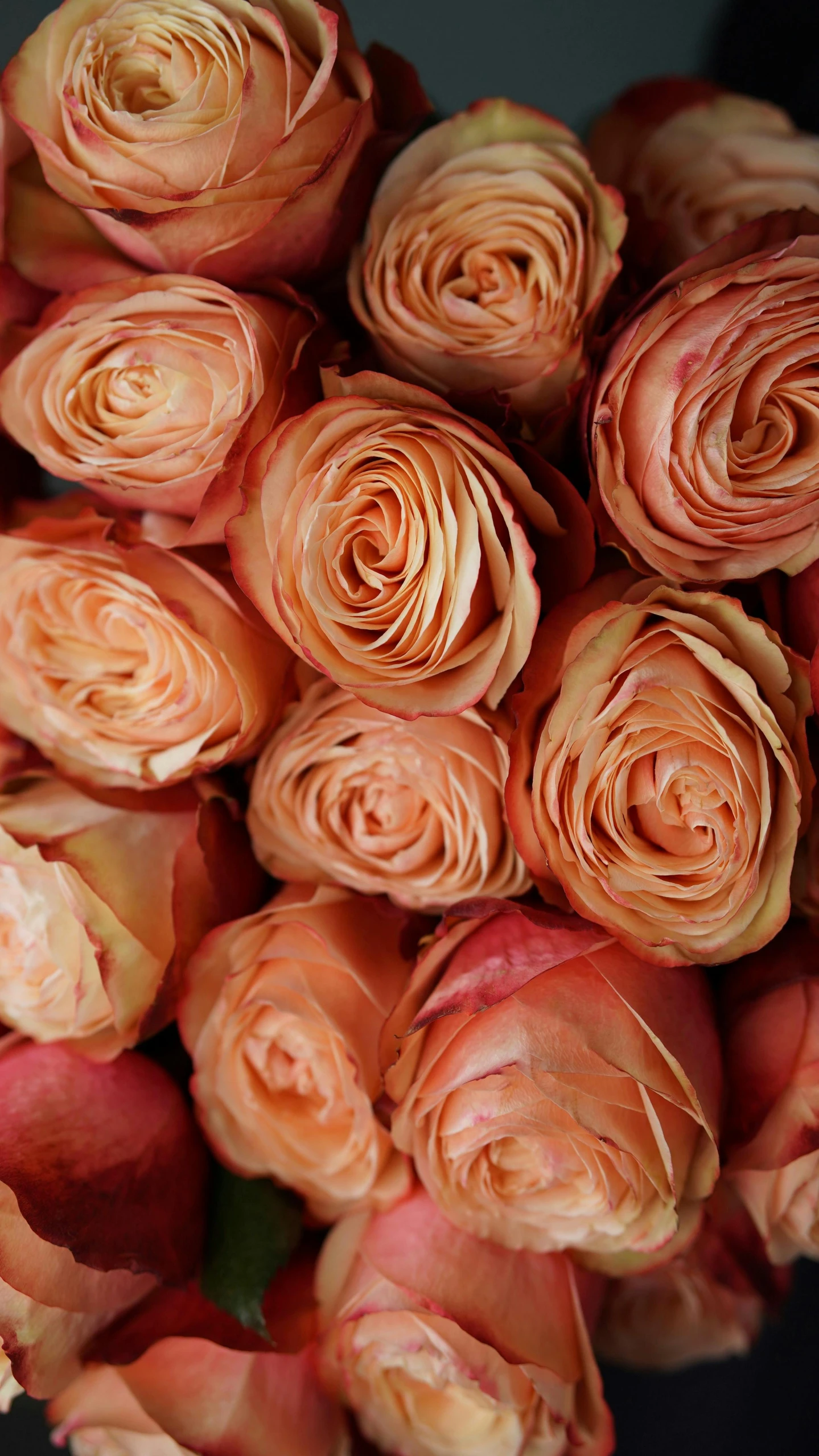 a bouquet of orange roses sitting on top of a table, slide show, faded pink, photographed for reuters, up close