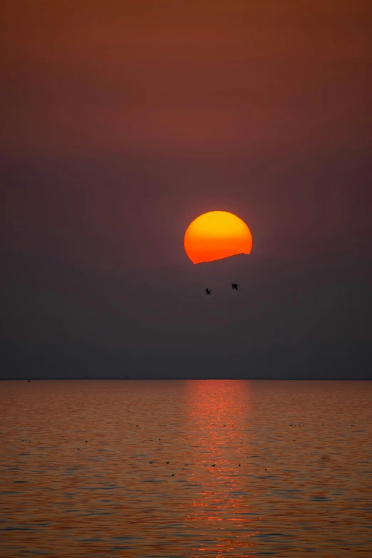 the sun is setting over a body of water, by Jan Tengnagel, pexels contest winner, romanticism, two cranes flying across the sun, red sea, minimalist, high quality photo