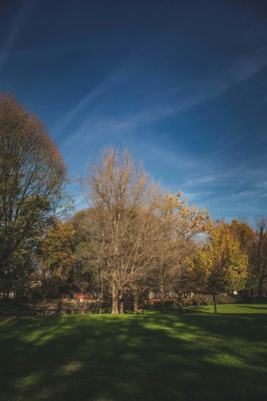 a park filled with lots of green grass and trees, by Peter Churcher, unsplash, autum, in a square, blue skies, low iso