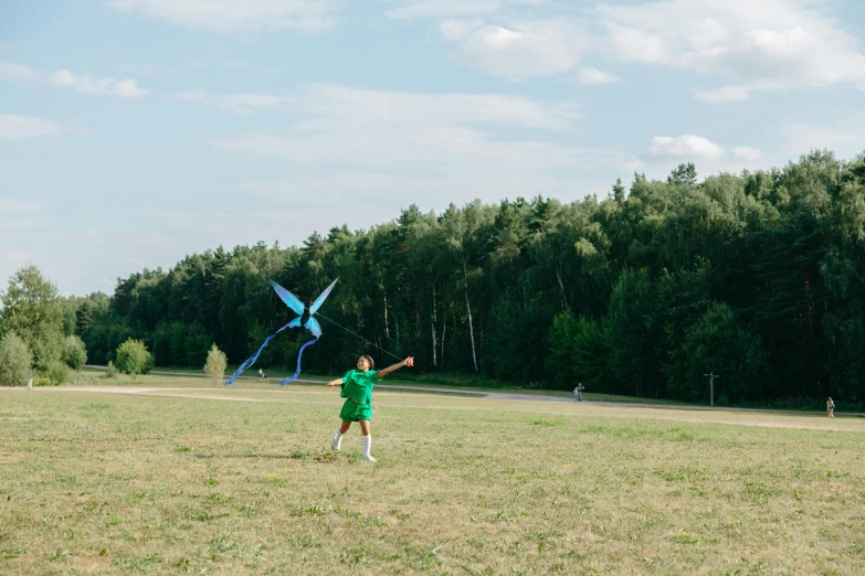a young boy flying a kite in a field, by Attila Meszlenyi, kinetic art, dragonfly-shaped, near forest, marina federovna, jovana rikalo