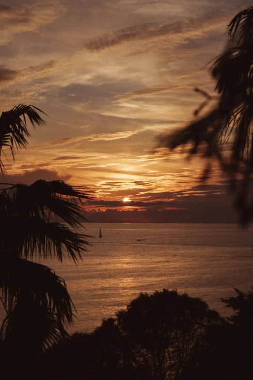 a sunset over a body of water with palm trees in the foreground, monaco, shot onfilm, ((sunset)), long