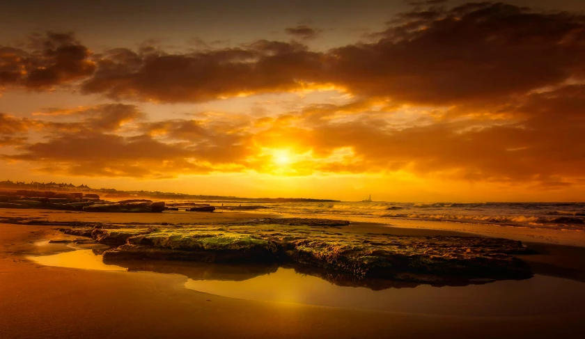 a large body of water sitting on top of a sandy beach, by Andries Stock, pexels contest winner, gold glow, vibrant sunrise, manly, yellow