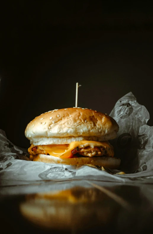 a hamburger sitting on top of a piece of wax paper, a portrait, pexels, on a dark background, cheese, chicken sandwich, profile image