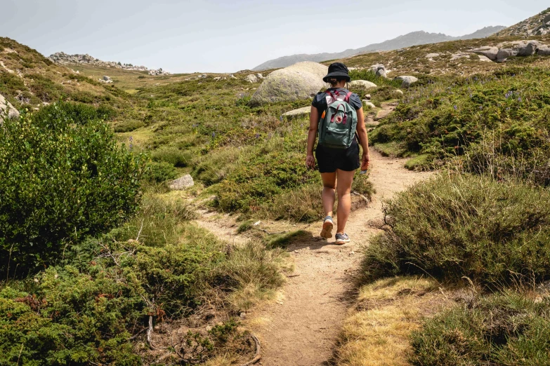 a person with a backpack walking on a trail, by Lee Loughridge, pexels contest winner, manuka, white shorts and hiking boots, in avila pinewood, a woman walking