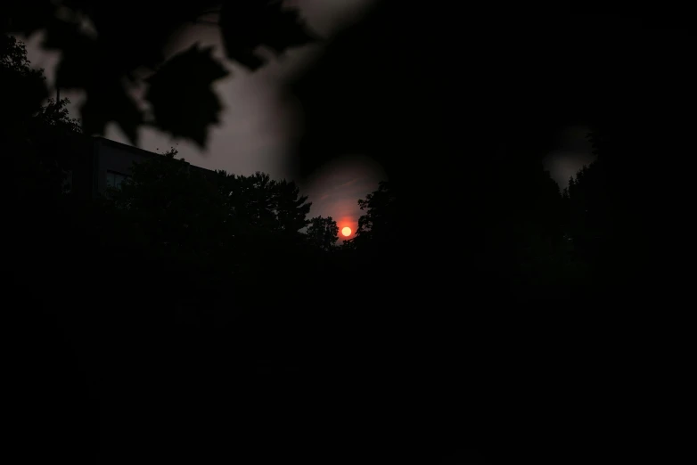 the sun is setting behind the trees in the dark, a picture, red fire eyes, photograph taken in 2 0 2 0, ☁🌪🌙👩🏾, moody hazy lighting