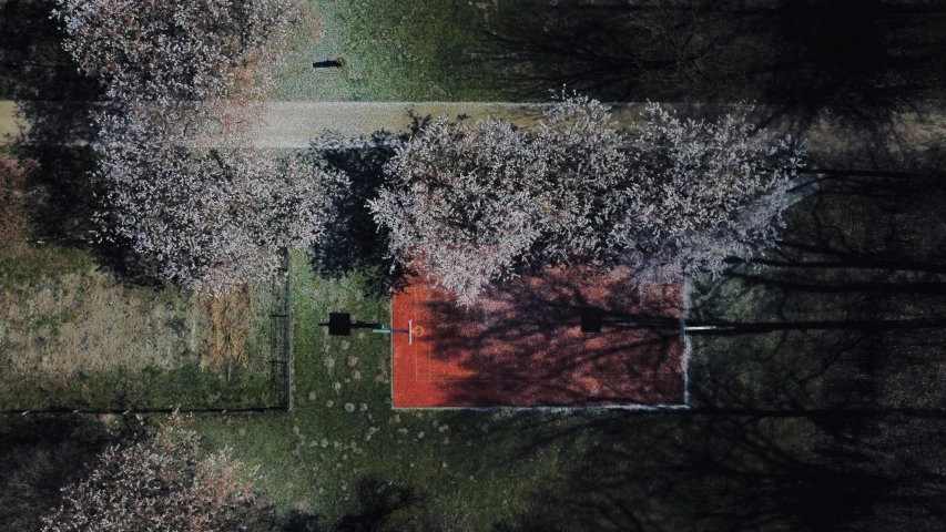 a bird's eye view of a red house surrounded by trees, an album cover, by Attila Meszlenyi, unsplash contest winner, cherry blossom trees, basketball, play of light, sense of scale