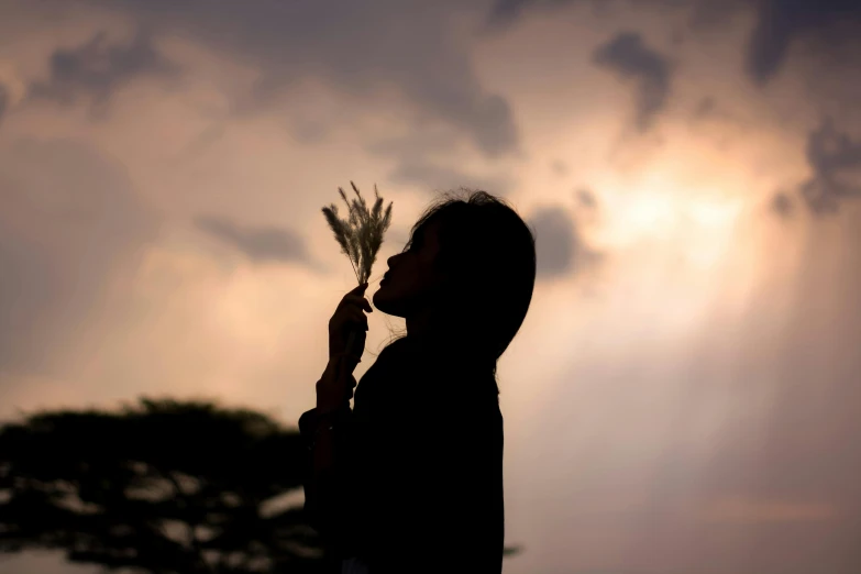 a silhouette of a person holding a bunch of flowers, pexels contest winner, portrait image, bokeh dof sky, avatar image, straw