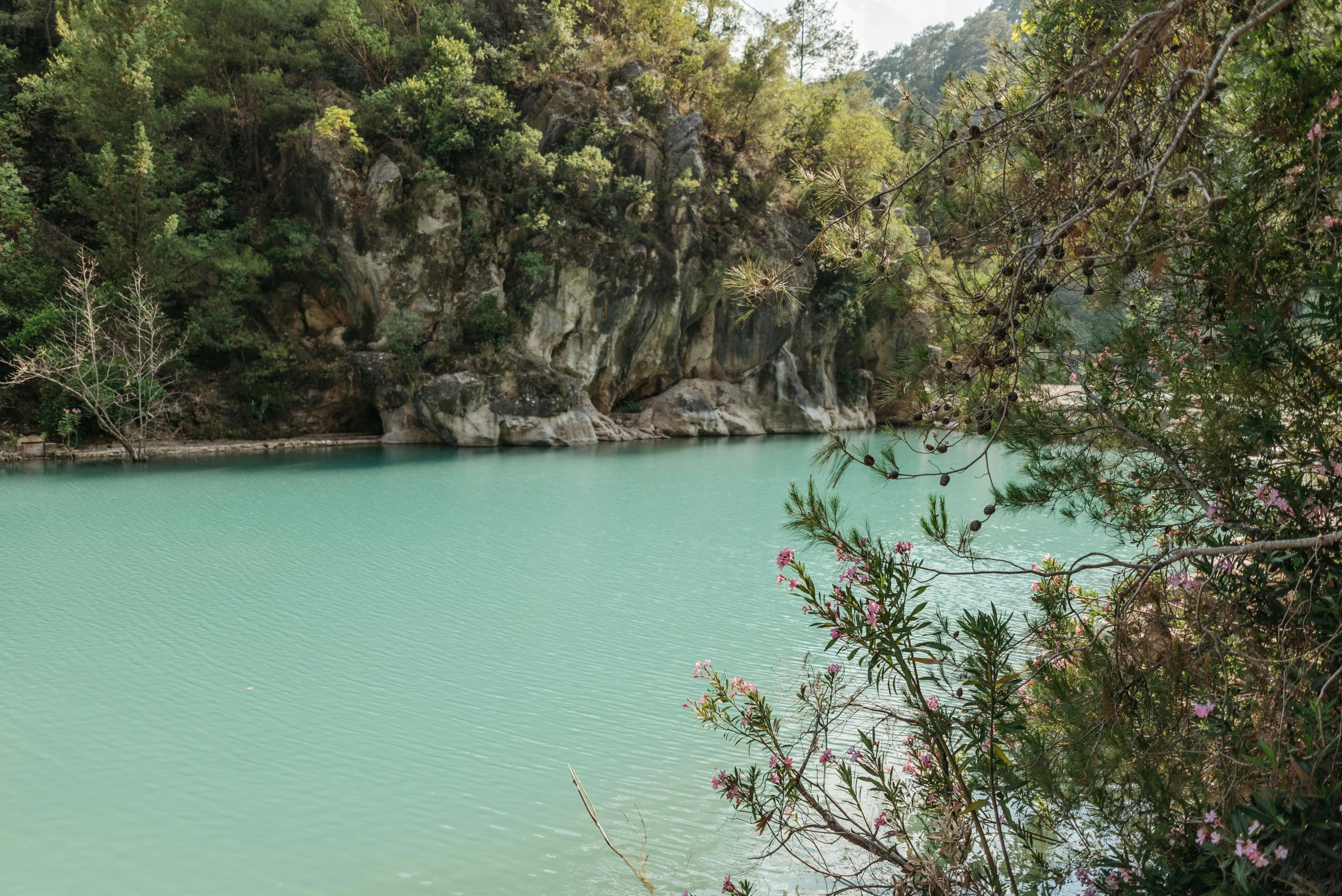 a large body of water surrounded by trees, unsplash, hurufiyya, rock quarry location, teal and pink, eucalyptus, in spain