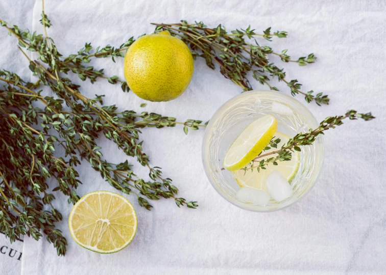 a glass of water with lemons and a sprig of thyme, pexels, renaissance, white tablecloth, lime, asymmetrical, thumbnail