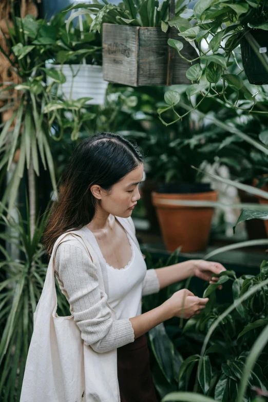 a woman looking at plants in a greenhouse, trending on unsplash, holding a leather purse, a young asian woman, big leaf bra, customers