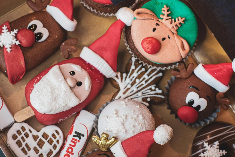 a box of decorated christmas cupcakes sitting on top of a table, a cartoon, by Emma Andijewska, pexels, high angle close up shot, knolling, close - up of the faces, 🦩🪐🐞👩🏻🦳