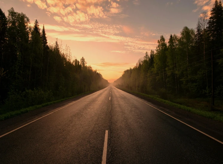 an empty road in the middle of a forest, by Jaakko Mattila, pexels contest winner, sunset sky, plain background, highway, low angle facing sky