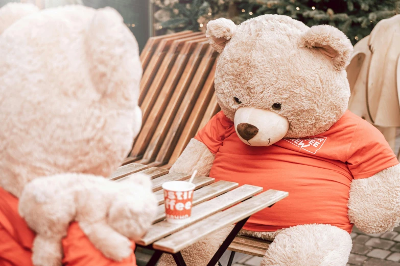 a teddy bear sitting at a table with a cup of coffee, by Julia Pishtar, pexels contest winner, happening, gigantic titan winnie the pooh, wearing festive clothing, chillin at the club together, eating outside